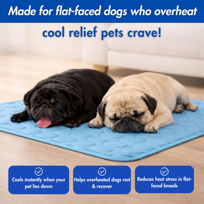Dog Cooling Mat
