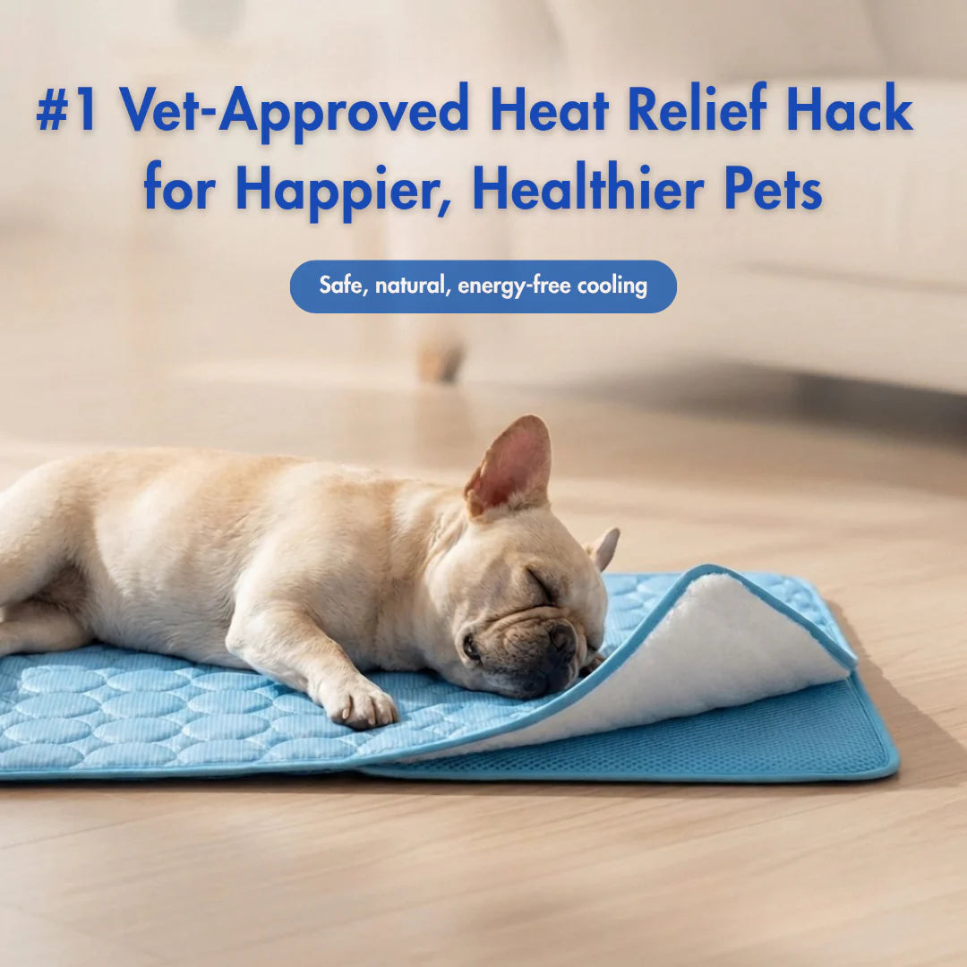 Dog Cooling Mat