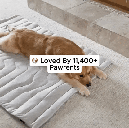 Dog Cooling Mat