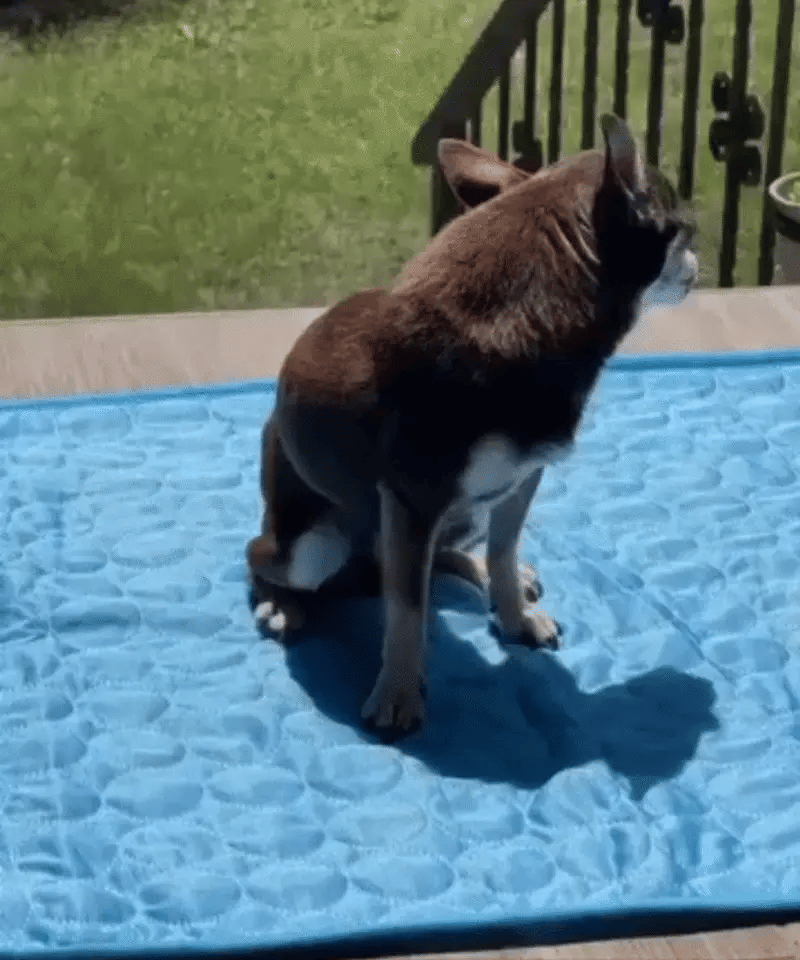 The Icebark Mat — woven cooling fabric