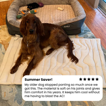 Dog Cooling Mat