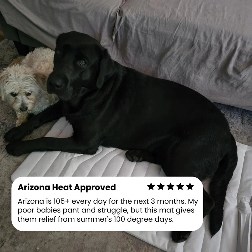 Dog Cooling Mat