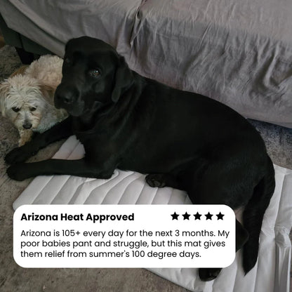 Dog Cooling Mat